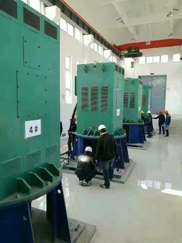 九龙某污水处理厂使用我厂的立式高压电机安装现场